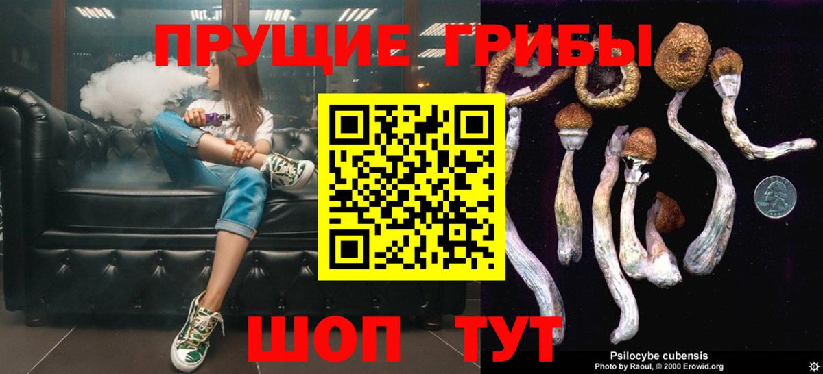 Снежинск  Псилоцибиновые грибы мицелий  Вход с VPN 